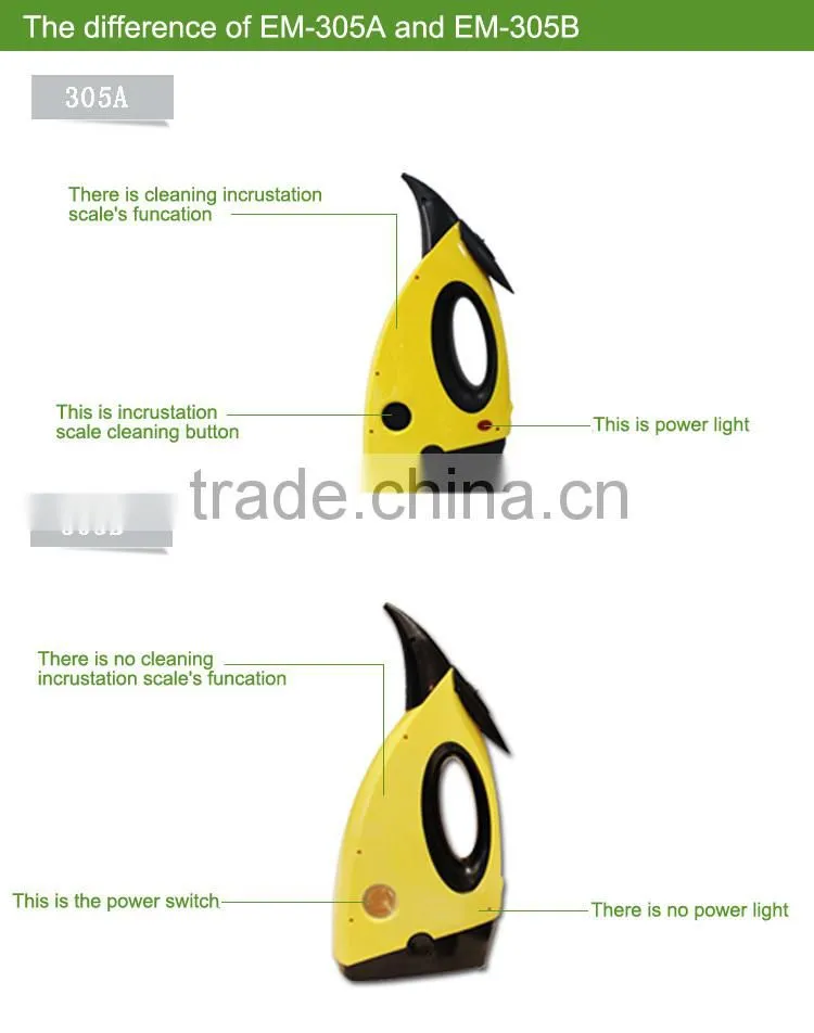 steam cleaner