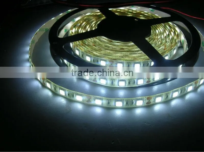 5M 5050 LED Hight brightness cold white 60 chip dc12v led strip 5050 rgb ip68 5050 LED