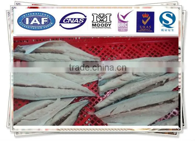 Norway Mackerel Portion