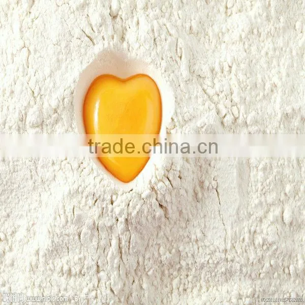 Premium Grade wheat flour with competitive price
