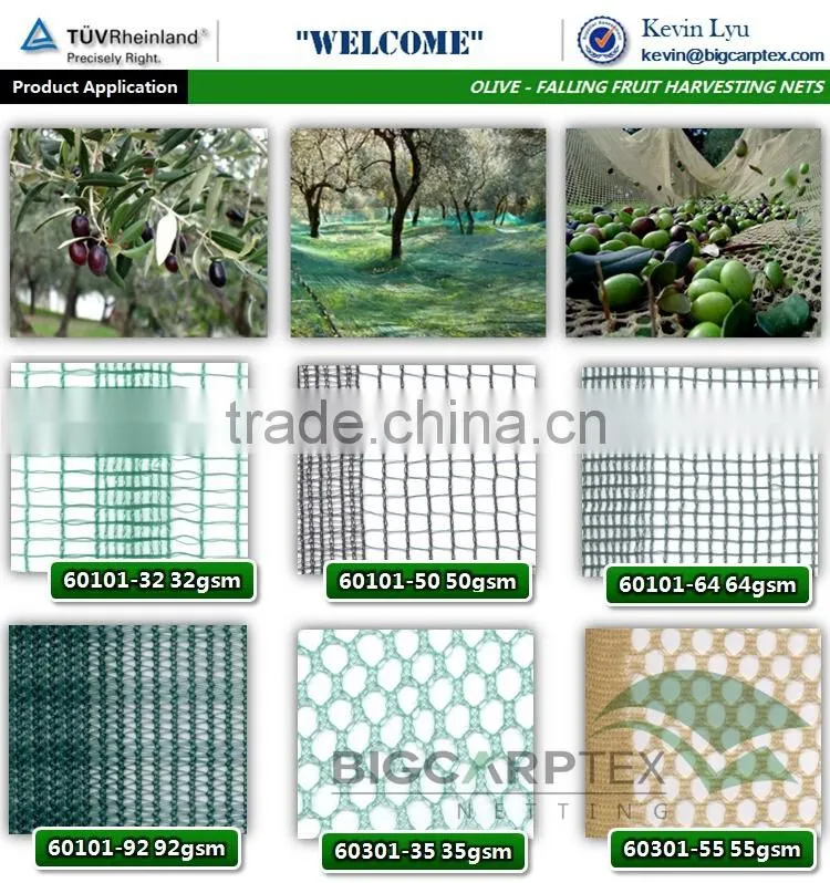 ( 20 years factory) green Rete Raccolta Olive 92GSM 6x12m