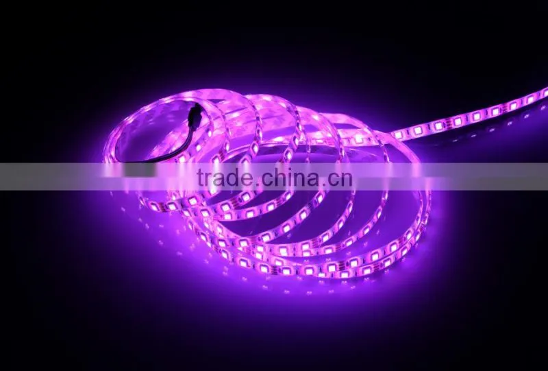 Home Hotel KTV Bar Decorative colorful 5050SMD IP65 Waterproof RGB flexible LED strip light