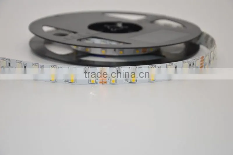 RGBW Double Row SMD5050 SMD3528 Waterproof Led Strip Light