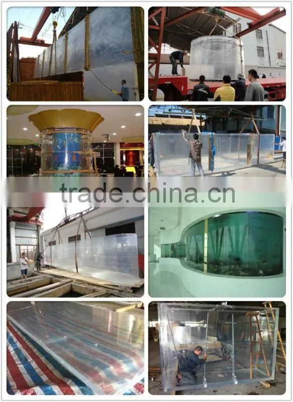 Acrylic Aquarium with Double Arc Shape