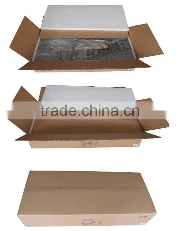 North Amenrica swing arm wall sconce wall light. wrought iron wall lamp, corridor restaurant industry