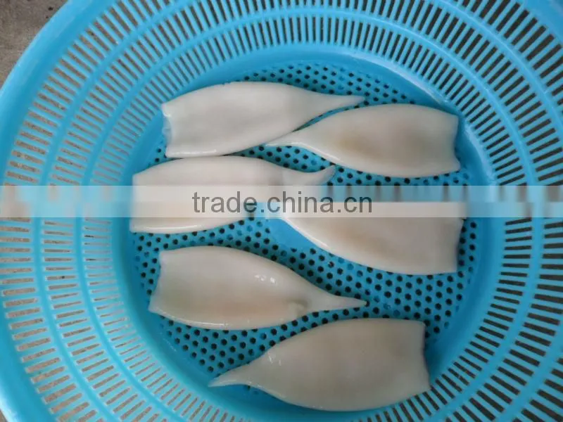 Frozen seafood Squid Tube IQF( todarodes)