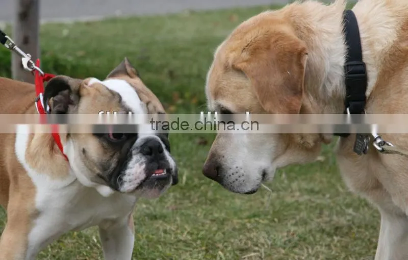 High quality stainless steel dog chain