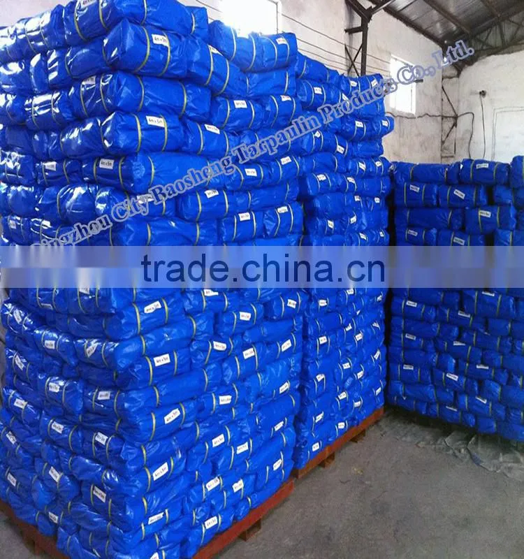 2015 new china canvas
