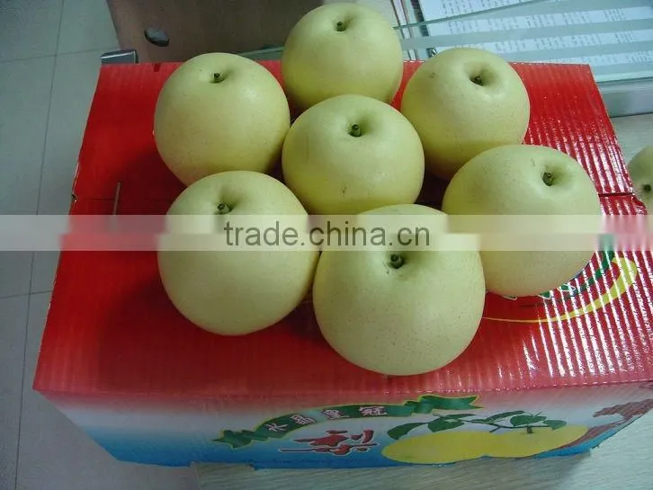 Nice difference specification of crown pear in china