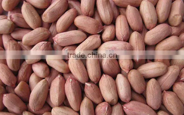 peanut kernel long type(35/40 and 50/60) from china