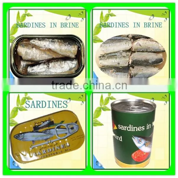 canning sardines china sardine