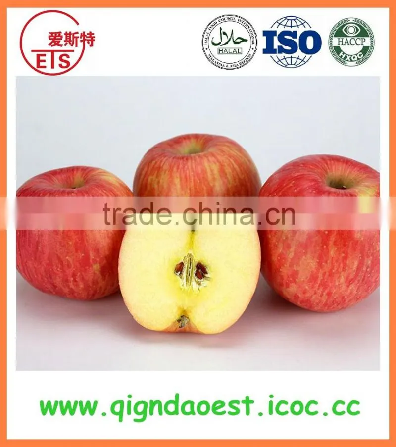 Offer china Shandong Blanched Peanut Groundnut Splits