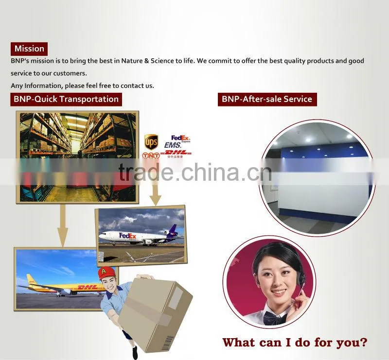 BNP Supply 100% Natural Monacolin K Red Yeast Rice Extract