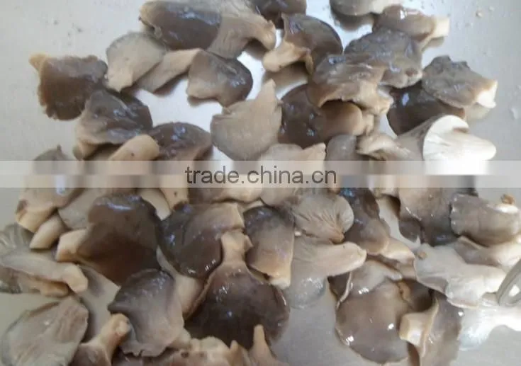 export boiled mushroom canned oyster mushroom pleurotus ostreatus