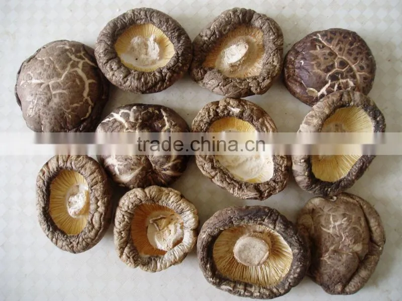 dried shiitake shiitake mushroom dried mushroom