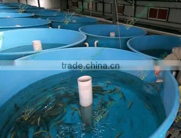 fish tank fiberglass