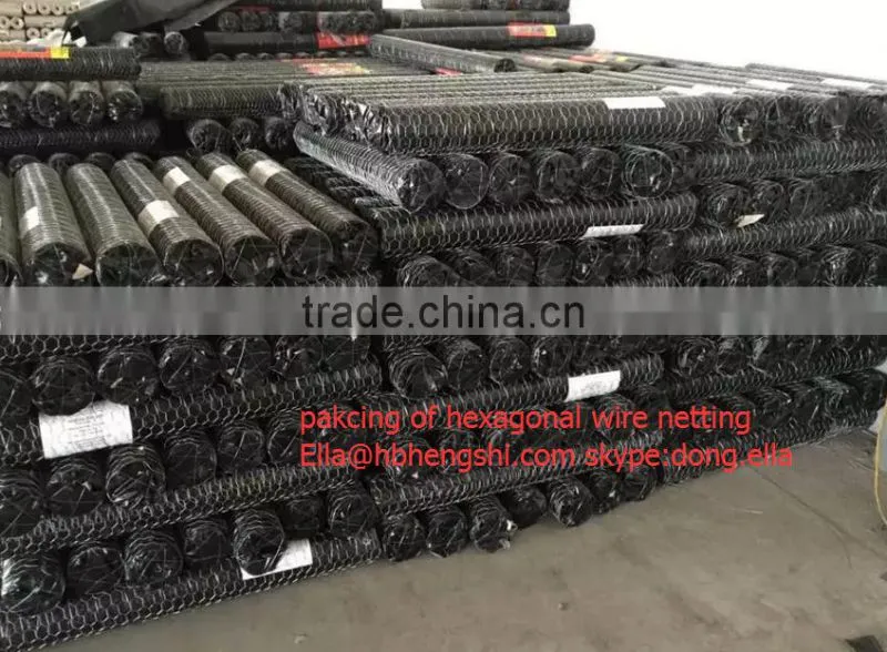 Hexagonal Mesh/Hexagonal Wire Mesh