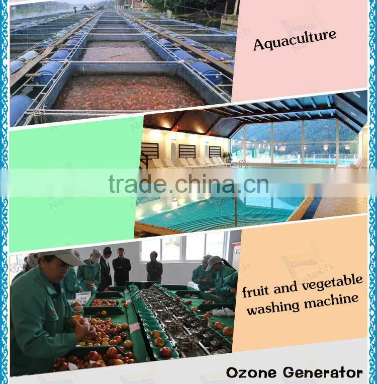 classic popular 10g sewage water treatment ozonizer