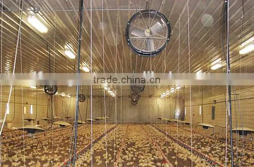 Poultry fan/broiler breeder house fan/chicken fan/egg fan/cone fan/chicken farm