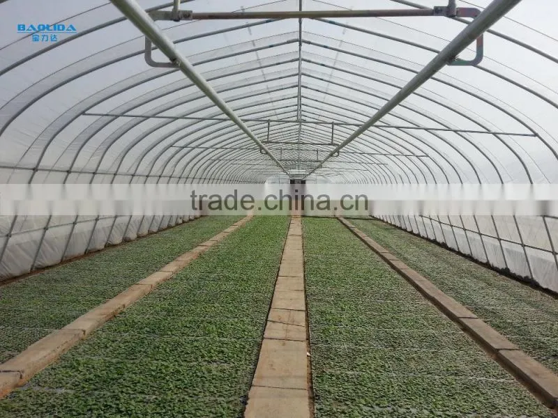 single-span agriculture greenhouse baolida tunnel green house