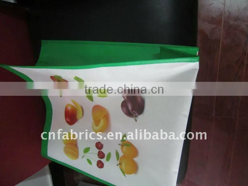 OEM non-woven bag ,Promotional Shopping Bag , eco bags