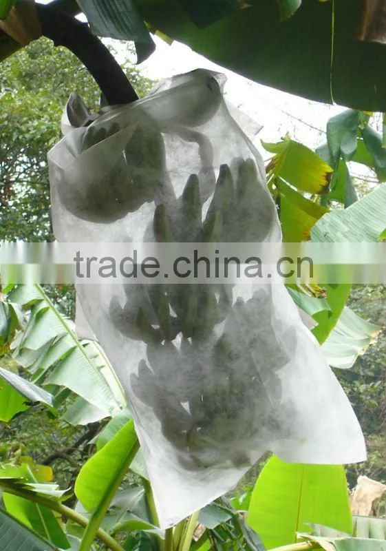 frost protection pp nonwoven fabric bag, fruit protection bag