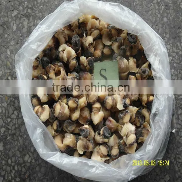 frozen seafood conch