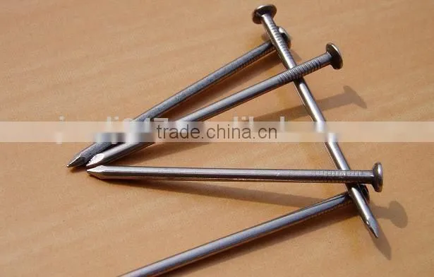 Iron polishing common nail,zinc plated common wire from China factory