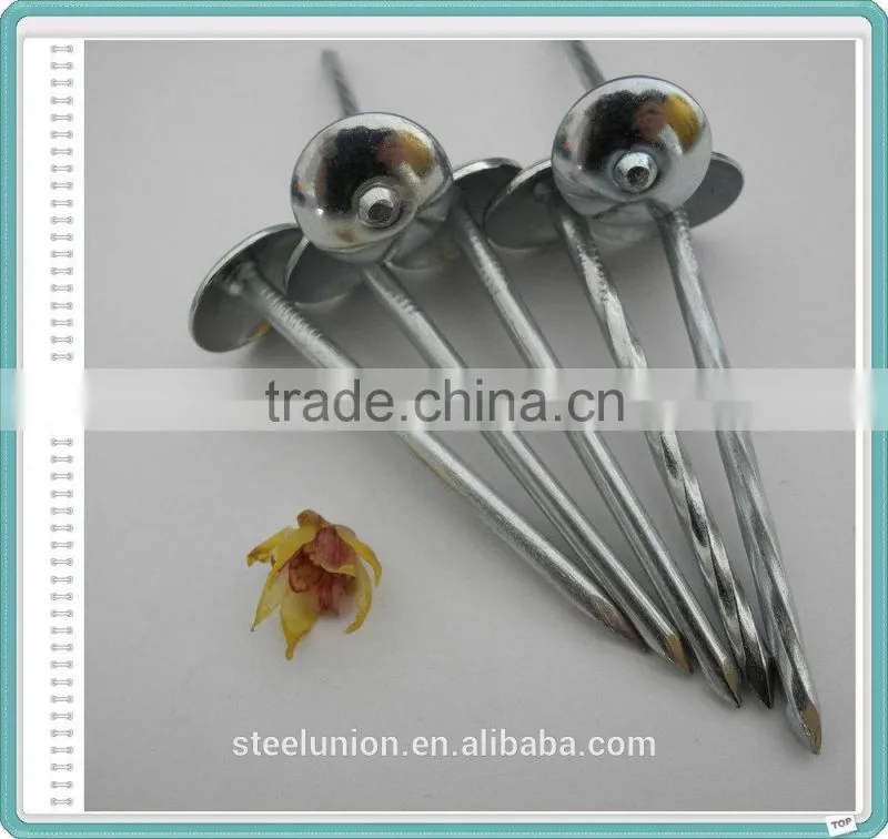 BWG9X2.5" Umbrella Head Roofing Nail Factory