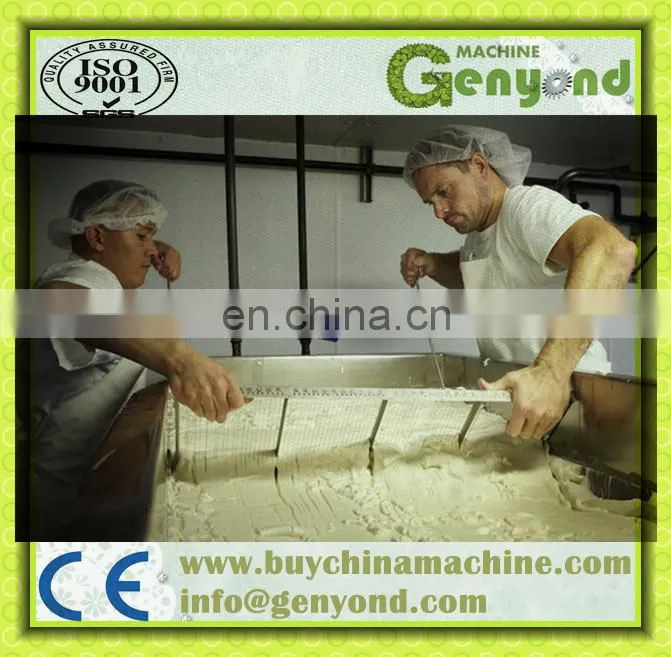 shanghai genyond cheese making vat