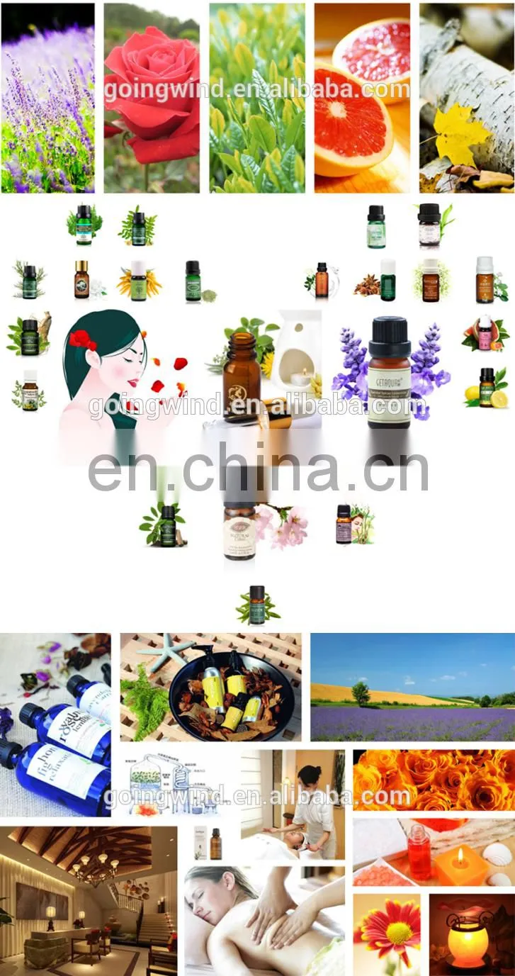 Mini essential oil distillation equipment lab essential oils extracting machine laboratory steam distiller cheap price for sale
