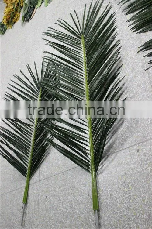 coconuts leaves price