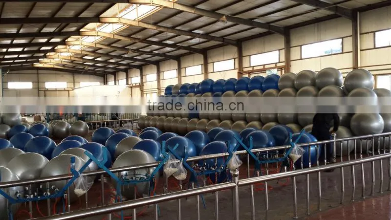 2015 new products gym yoga ball