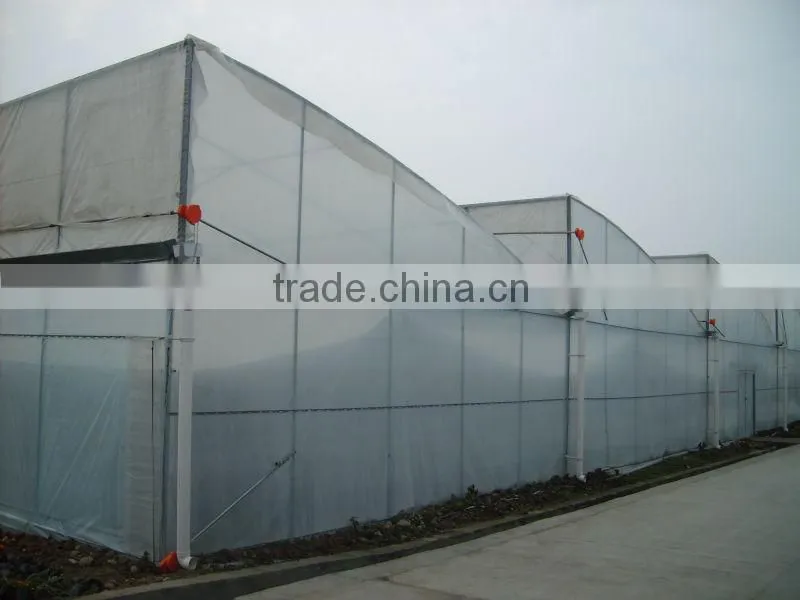 steel pipe greenhouse