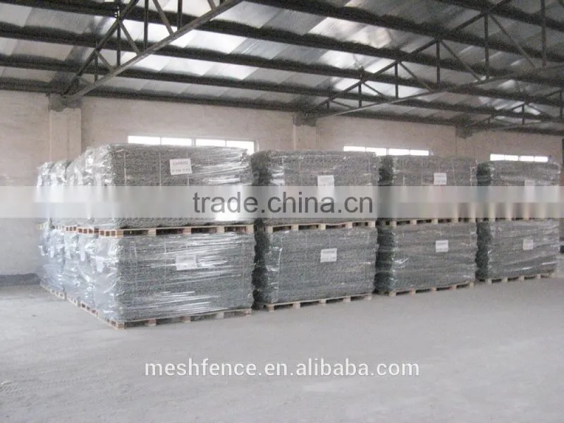 China professional Gabion baskets prices/galvanized gabion box