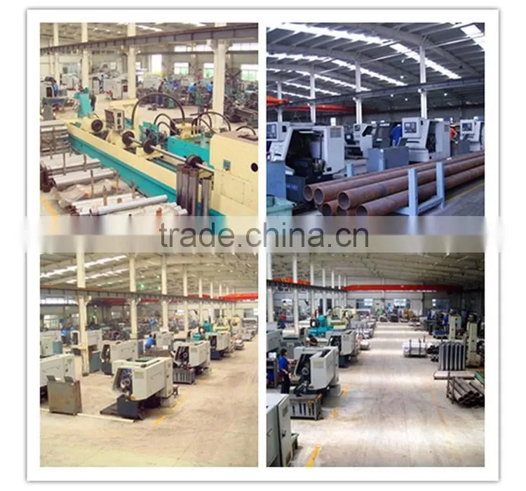 Forestry Machinery/Planting Machine/Digging Machine/Hydraulic cylinder