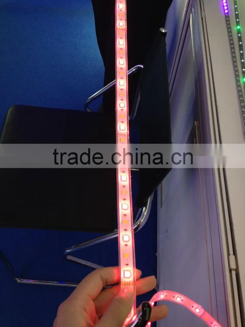 smd led strip 5050 RGBW 60LEDS/M 5M/Roll high quality data sheet
