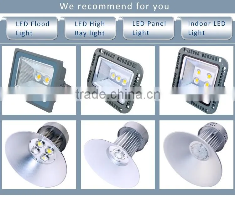High Lumen Outdoor 50W COB LED Floodlight 100 Watt LED Flood Light