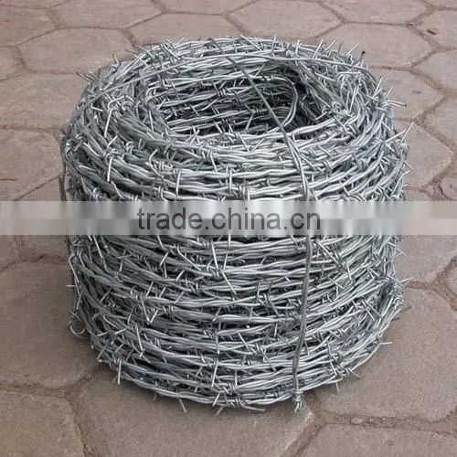 Galvanized Barbed Wire