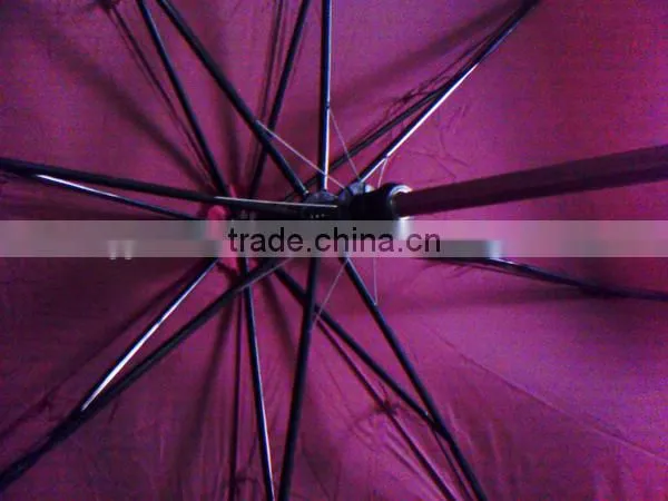 30" Automatic 2 Fold Golf Umbrella with Matching Sleeve