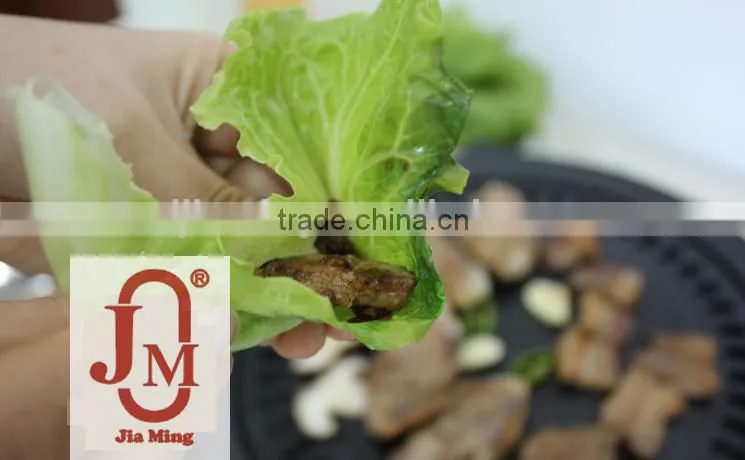 High Quality Portable Grill Cook Plate