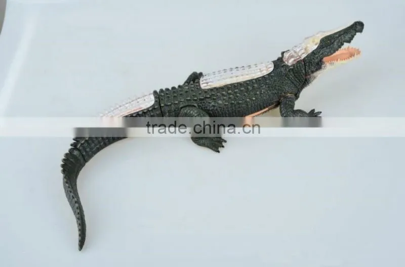 V-AM053 4D MASTER Crocodile specimen anatomical model with organ skeleton