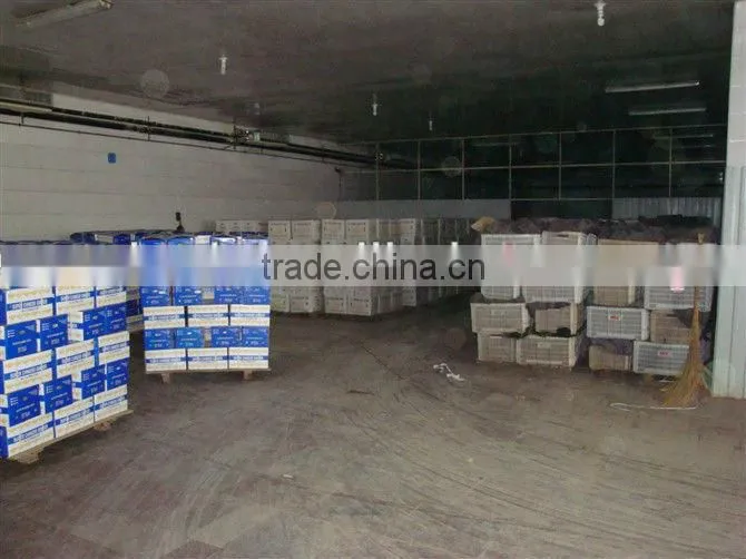 Sand ginger at dried ginger export prices