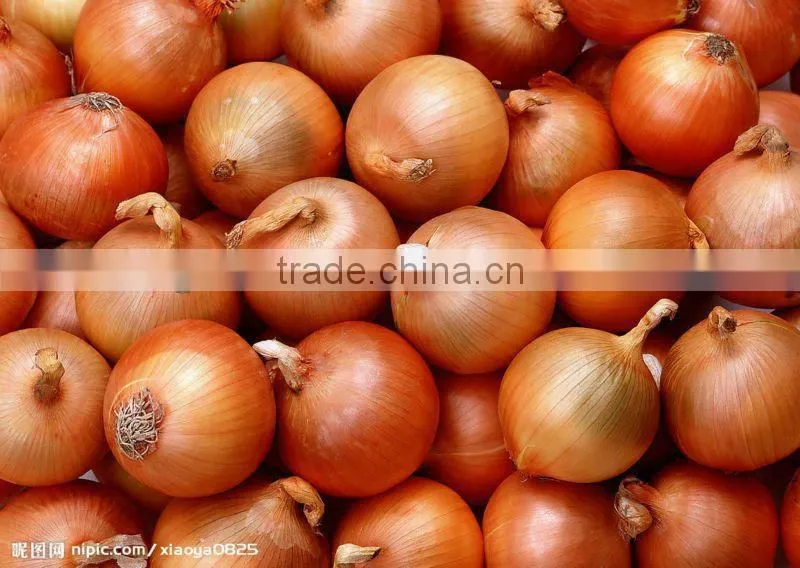 non-peeled fresh onion