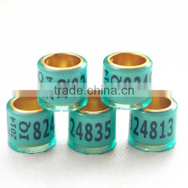 golden-alumium inside coated by transparent red plastic foot rings pigeon