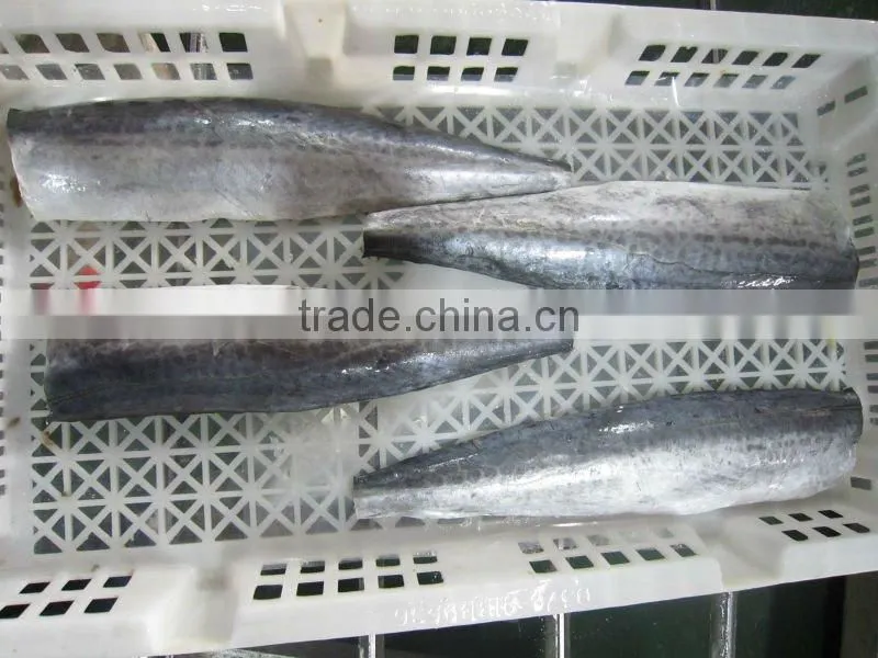 spanish mackerel fillet skin-on