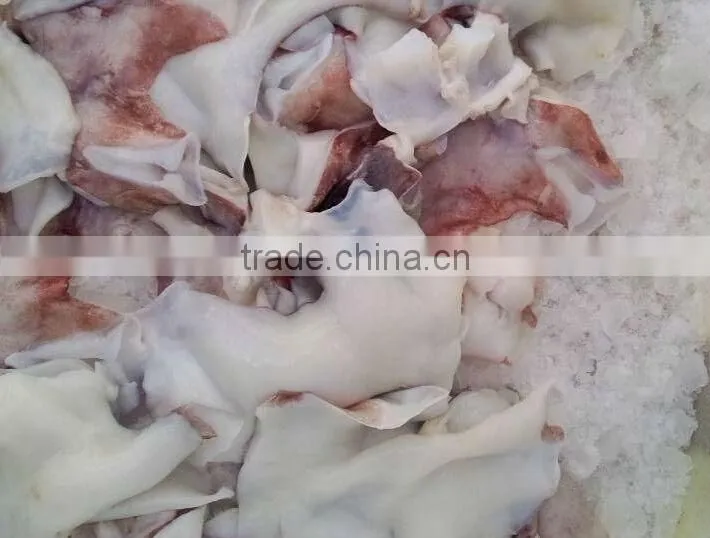 food seasoning ,Frozen Giant Squid Neck