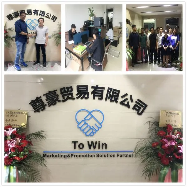 Guangzhou To Win Advertise Display Co.,Limited company overview - view 1