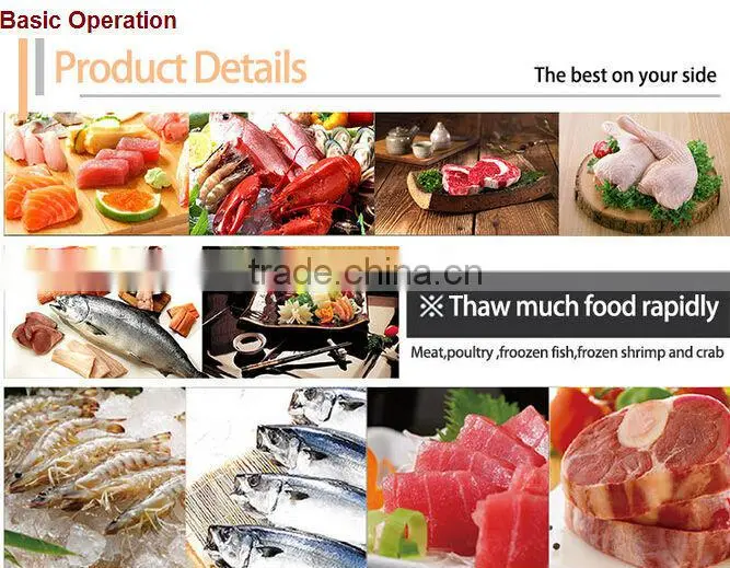 2015New product meat defrosting plate