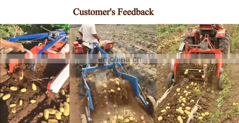 Tractor mounted yam harvester 2 rows sweet potato harvester